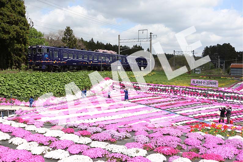 道南いさりび鉄道 ポストカード①