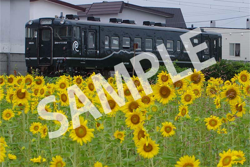 道南いさりび鉄道 ポストカード③