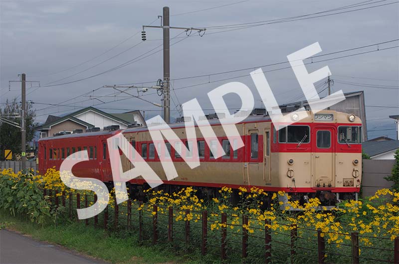 道南いさりび鉄道 ポストカード④