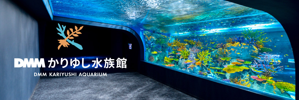 「DMMかりゆし水族館」の写真とロゴ