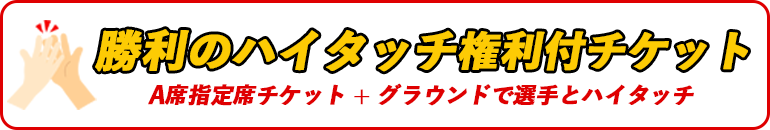 勝利のハイタッチ権利付チケット A指定席チケット+グラウンドでヒーロー選手とハイタッチ！