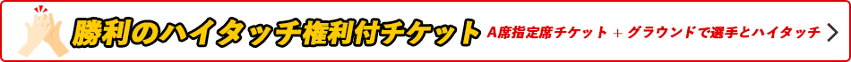 勝利のハイタッチ権利付チケット A指定席チケット+グラウンドでヒーロー選手とハイタッチ！